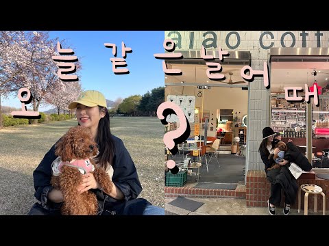 오늘 같은 날 어때??(성수맛집,성수카페,결혼식축사,하남조정경기장,벚꽃)