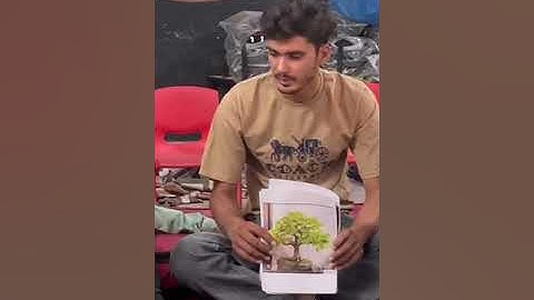 NTT PROJECT VIDEO FOR JUNE 2023-2024 DECE-4 IGNOU UNIVERSITY