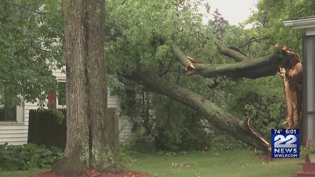 Storm damage throughout Hampshire County - YouTube