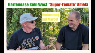 Gartenoase Köln West "Supertomate" Amela Verkostung mit Marcel