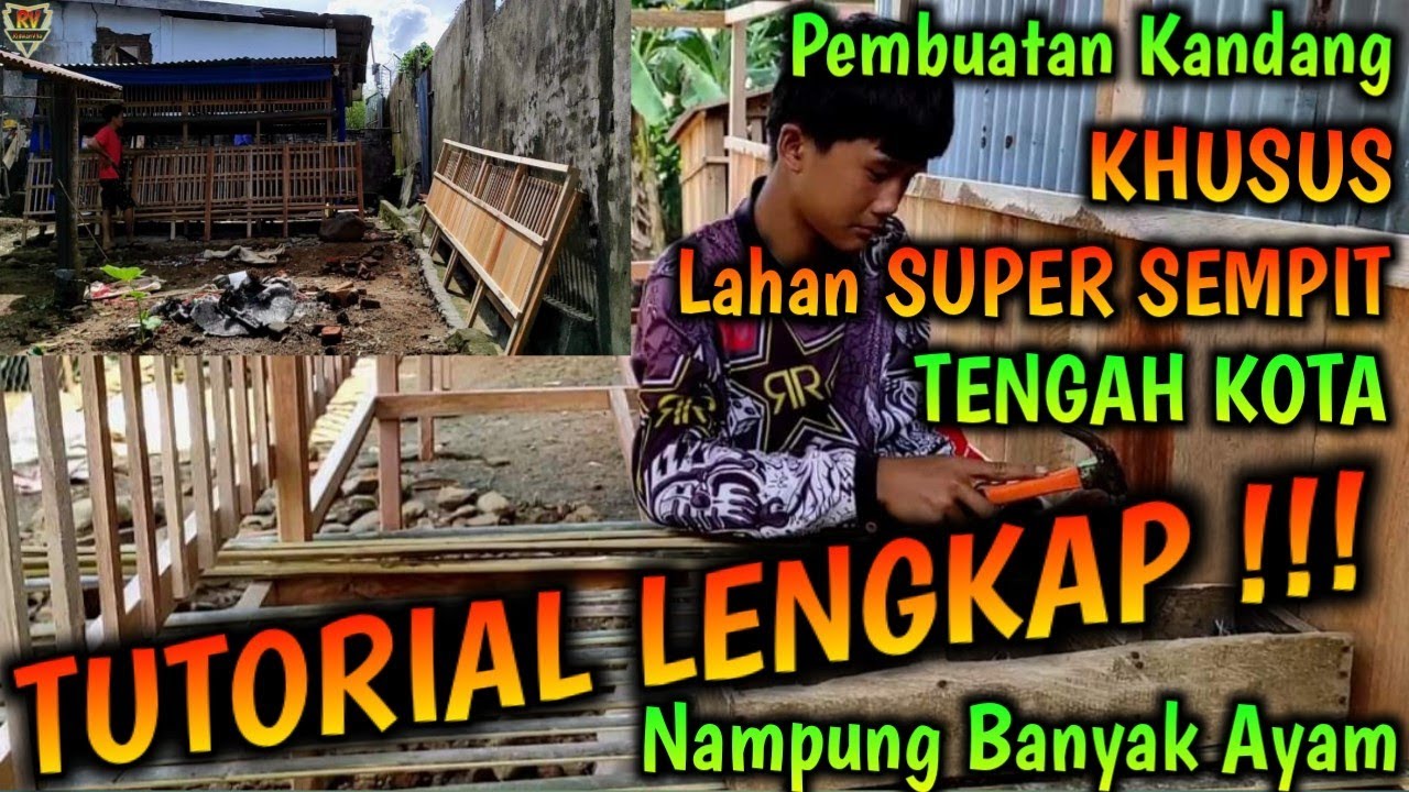 TUTORIAL LENGKAP Pembuatan Kandang KHUSUS Lahan SUPER SEMPIT di TENGAH KOTA Bisa Nampung Banyak Ayam