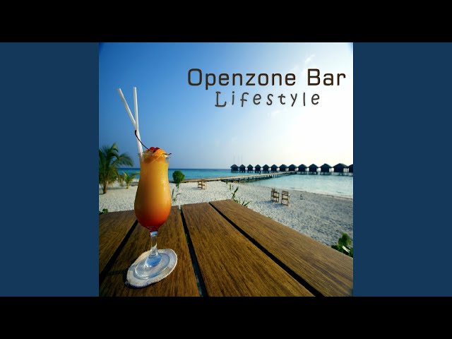 Openzone Bar - Parisian Cafe