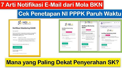7 Arti Notifikasi E-Mail dari Mola BKN ~ Mana yang Paling Dekat Penyerahan SK PPPK Paruh Waktu ?