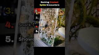 Ranking Insane Spider Encounters #shorts #spider #scary #bug #viral