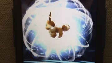 Pokemon GO || Our first Eevee Evolution!!!