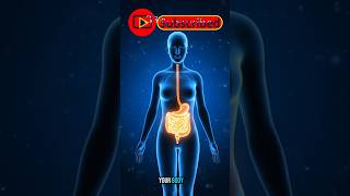 What Happens When You Eat A Peach? 3D Human Digestion Animation Senior Life Doctor