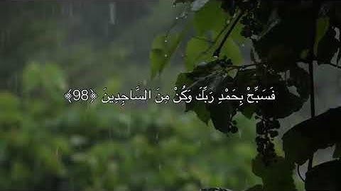 [الحجر: ٩٧-٩٩] القارئ: هزاع البلوشي