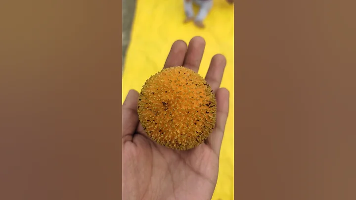 wow🔥🔥🔥 candy 🍬🍬🍬🍬🍬 #shorts #trendingshorts #likemaham #ytshorts #viralvideo