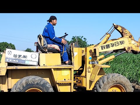 تطليع شارب من الارض الزراعيه بلودر  815