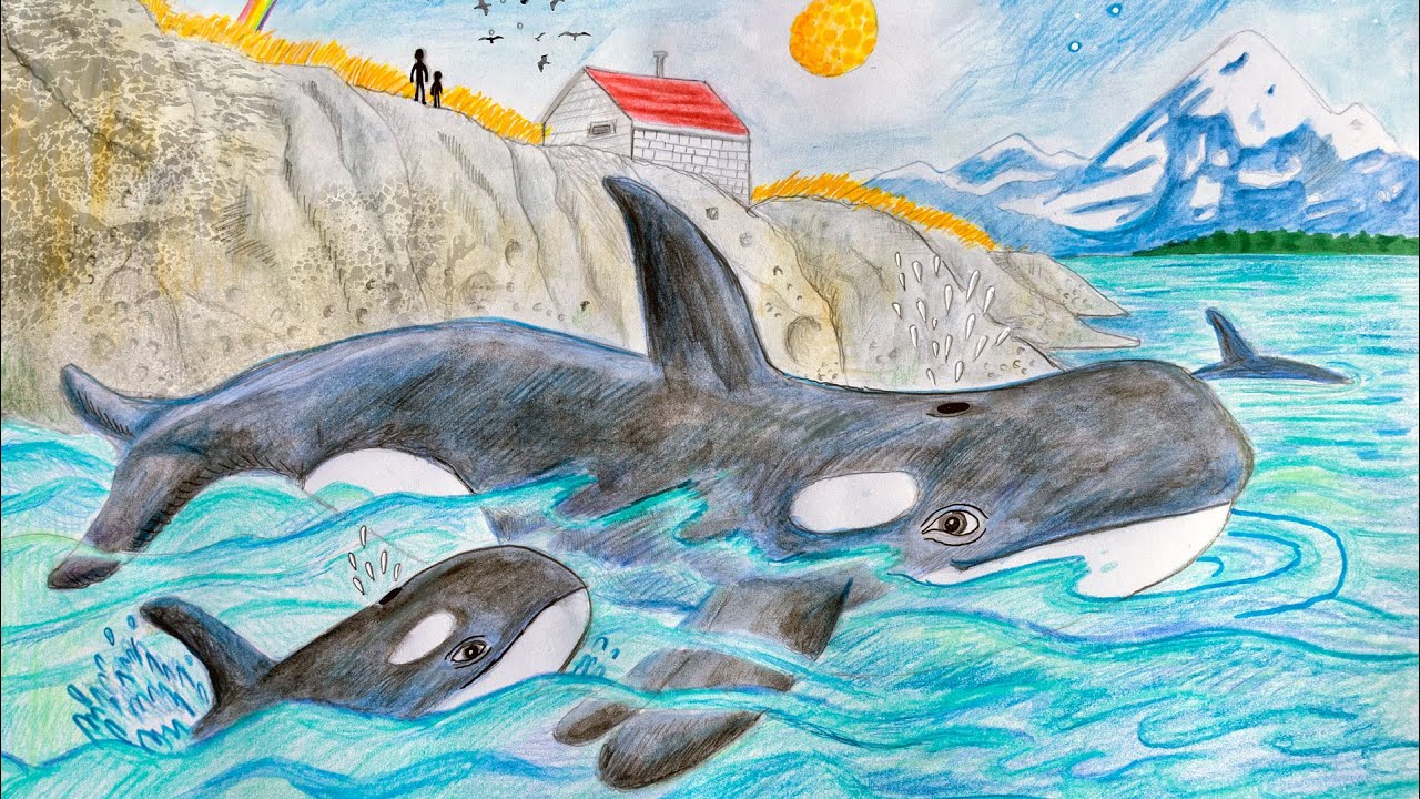 Orca Seatalks SIMRES Saturna Marine Research & Education