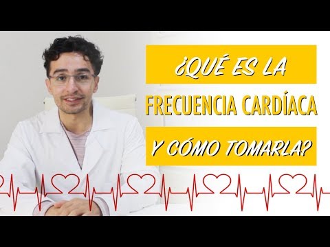 ¿Qué es la