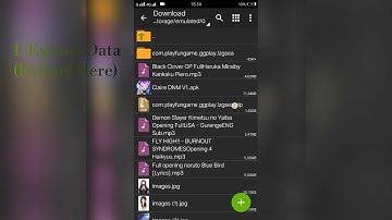 Tutorial for Extracting DNM Pandora
