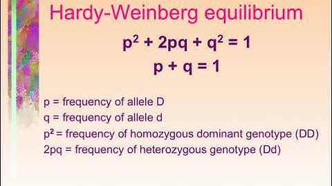 C19-1 - Population Genetics