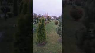добрый вечер хы) #храм #колокол #купол #святойисточник #батюшка