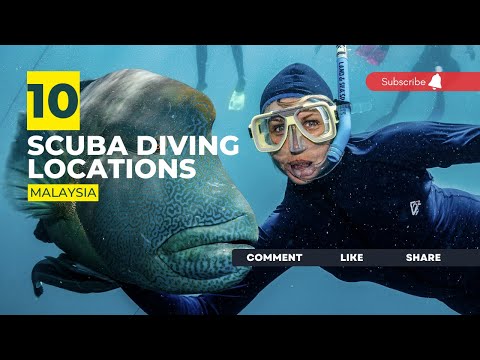 Video: Top 8 Places to Scuba Dive in Sabah, Borneo