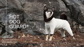 アルファアイコン Hot Dog Guard (ML) AW22 NEW COLLECTION.HOTDOG GUARD® - YouTube