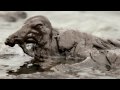 BP MEDIA BLACKOUT - JAMES FOX REPORTING 1/2