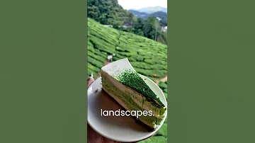 Malaysia's Cameron highlands, tea land