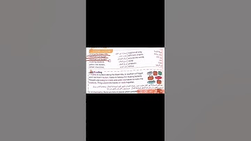 كونكت بلس 2 صف الثاني Connect Plus 2 Unit 7 Lesson 5 Where is it from Traditional Products in Egypt