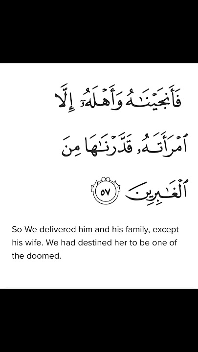 Surah An Naml Ayat 57 #shorts #quran #fatihseferagic