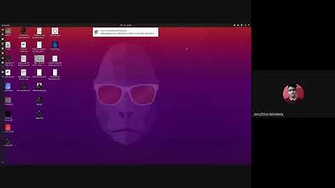 L2 P2 Functional Integrals   Fermionic Variables