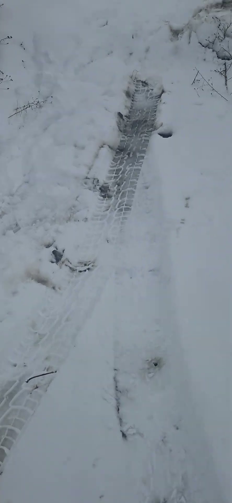 Truck Plate Frozen Into Snowbank || ViralHog