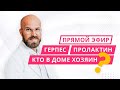 «Прямой эфир — консультация»: герпес, пролактин и кто в доме хозяин?