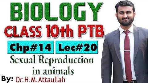 Sexual reproduction in animals| Gametogenesis | Chapter # 14 | Biology Class 10th | Lec# 20
