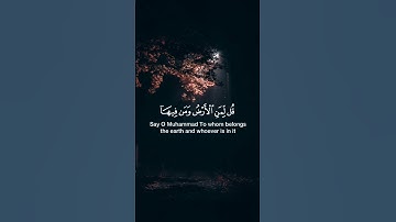 قران كريم {قل لمن الأرض ومن فيها} #محمد_صديق المنشاوي