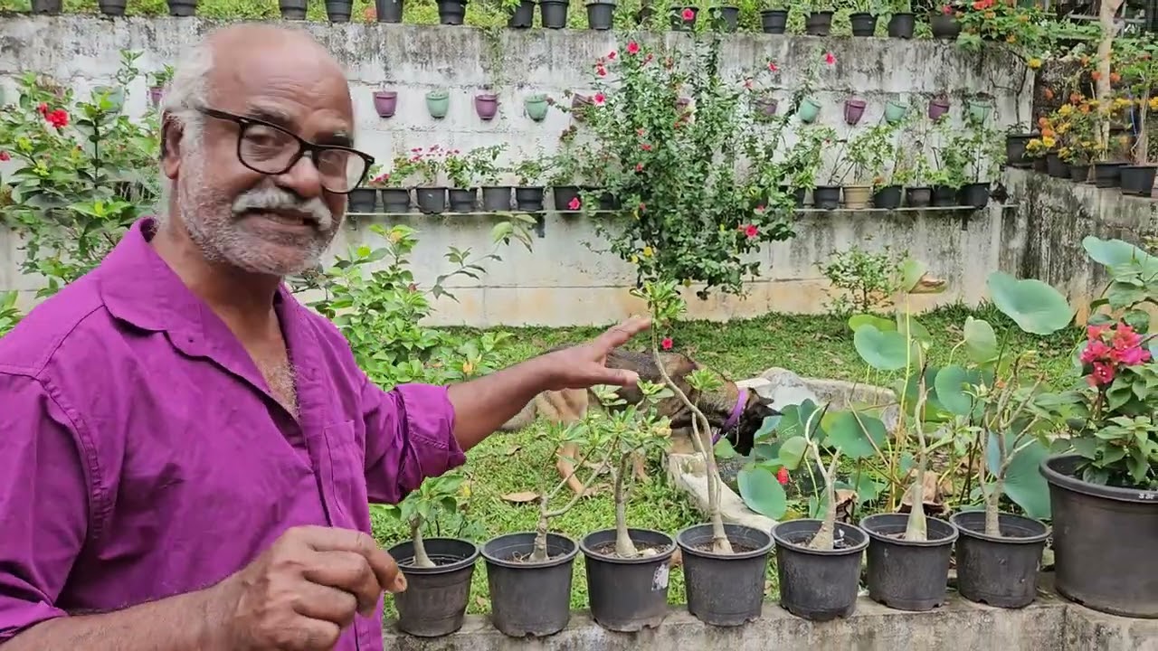 ഇനി എന്തൊക്കെ ചെയ്യണം|Leo|Laika|Chottuz|Dileepkumar 