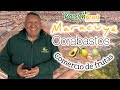 Corabastos comercio de frutas 🍈 🍎🍌🥑🍒🥭🍑