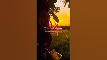 تلاوة عطرة من سورة البقرة بصوت القارئ مشاري العفاسي #قرآن #quran #تلاوة_خاشعة #اذكروا_الله_يذكركم