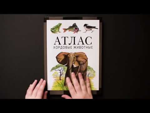 Атлас. Хордовые животные. Дольник В.Р., Козлов М.А