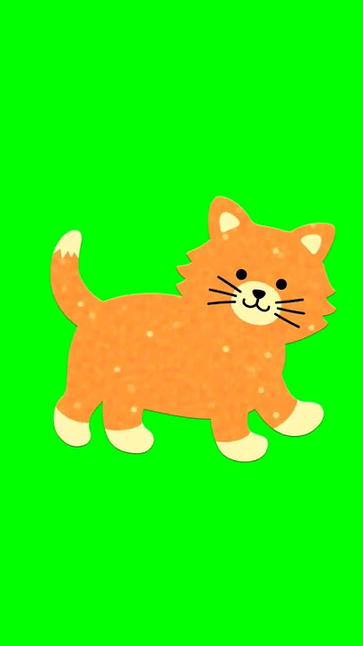 Green Screen Animated Cat #greenscreen #cat #shorts