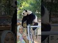عالم اخر مع هادو هههه عالم اخر مع هادو هههه