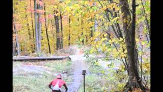Fall Downhill Mountain Bike Edit