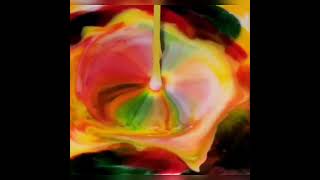 Science Experiments Milk Rainbow Surface Tension