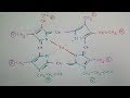 How to Draw Haemoglobin Molecule Structure | Heme  Molecule | TCML