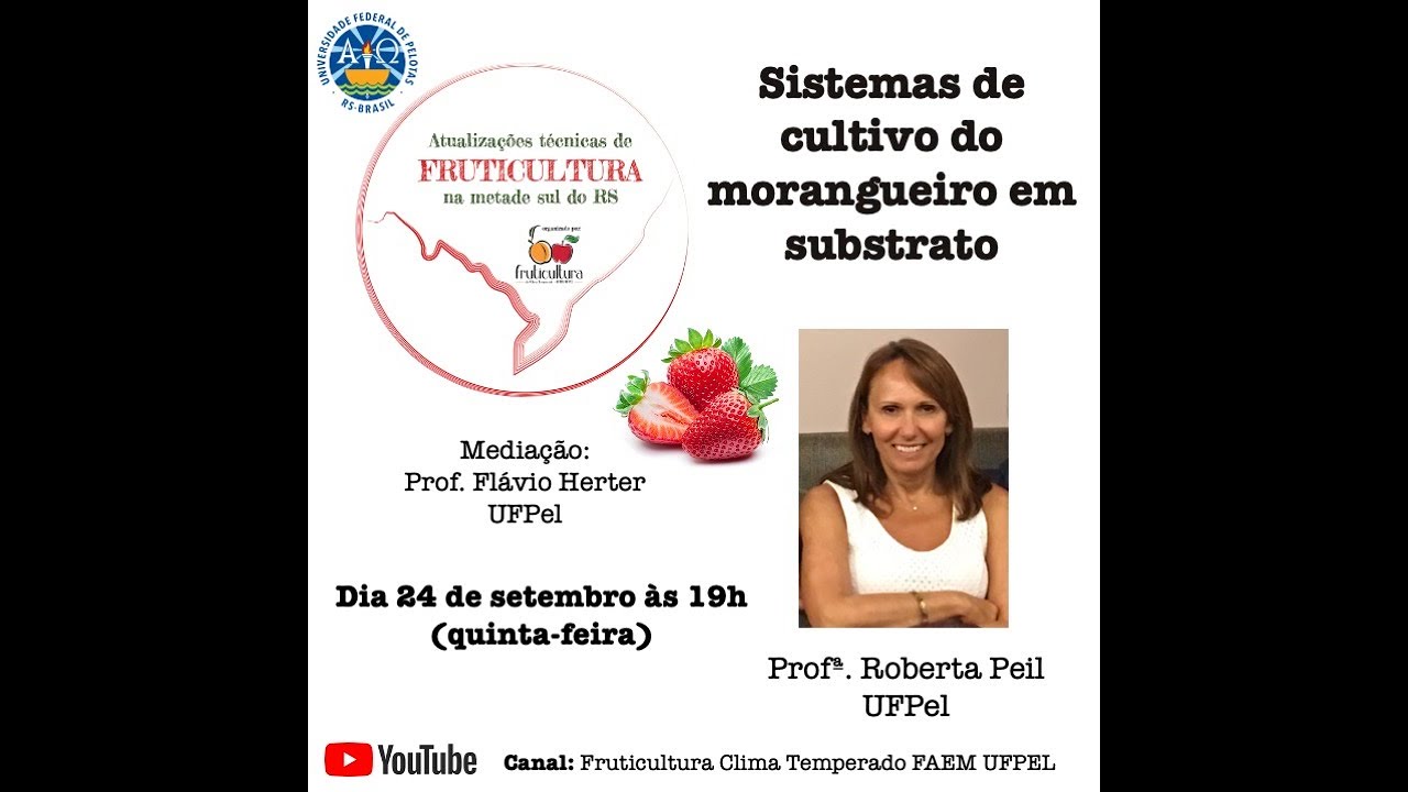 LIVE - Sistemas de cultivo do morangueiro em substrato - Dra. Roberta Peil