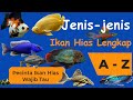 Jenis-jenis Ikan Hias dari I Sampai Z Lengkap (Part 2)