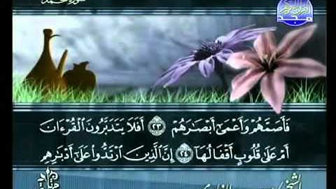 سورة محمد كاملة الشيخ سعد الغامدي