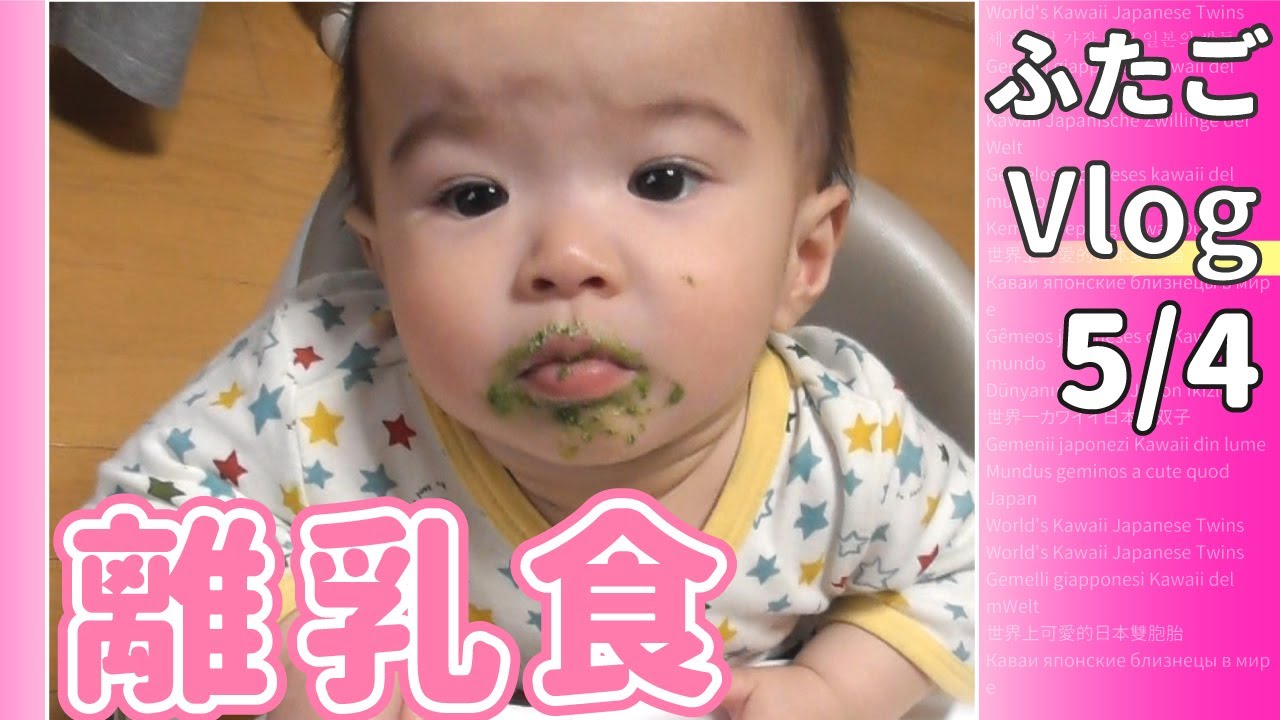 ガンバレ離乳食 赤ちゃんの日常 生後８ヵ月のかわいい双子の男の子の成長記録５月４日 Youtube