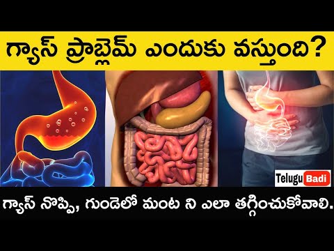 Gas Problem Explained Telugu | Gastric Causes, Symptoms, Treatment in Telugu| How to Cure Gas Pain