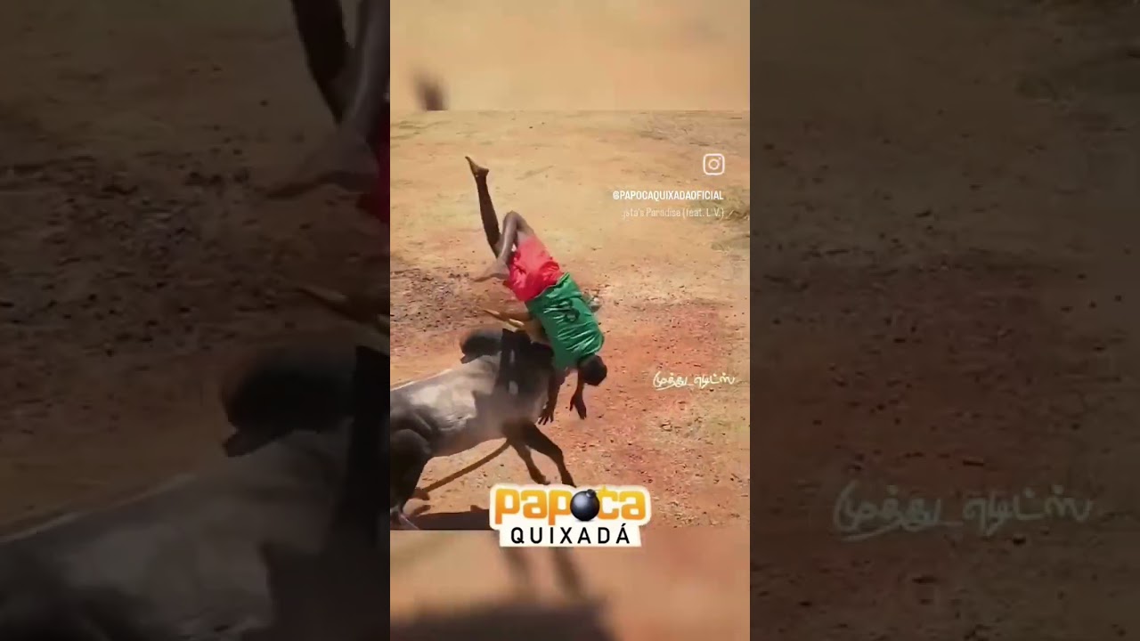 Incredible bull attacks on man 