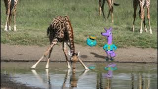 Zamzoom's Animal Adventures, Episode 01: Giraffes