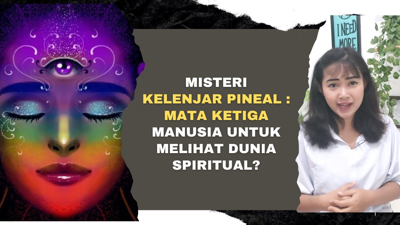 Apa Itu Mata Ketiga Pineal Gland Mata Ketiga Apa Itu vrogue.co