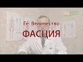 Её Величество Фасция