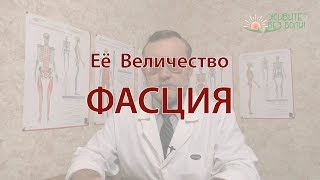 Её Величество Фасция