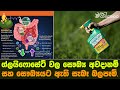 ග්ලයිෆොසේට් වල සෞඛ්ය අවදානම් සහ සෞඛ්යයට ඇති සැබෑ බලපෑම්.