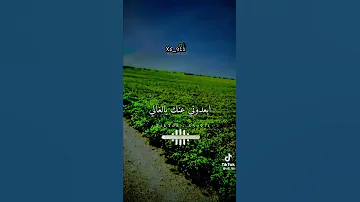 يوم شافوني انا بقربك ميحد حمد 
